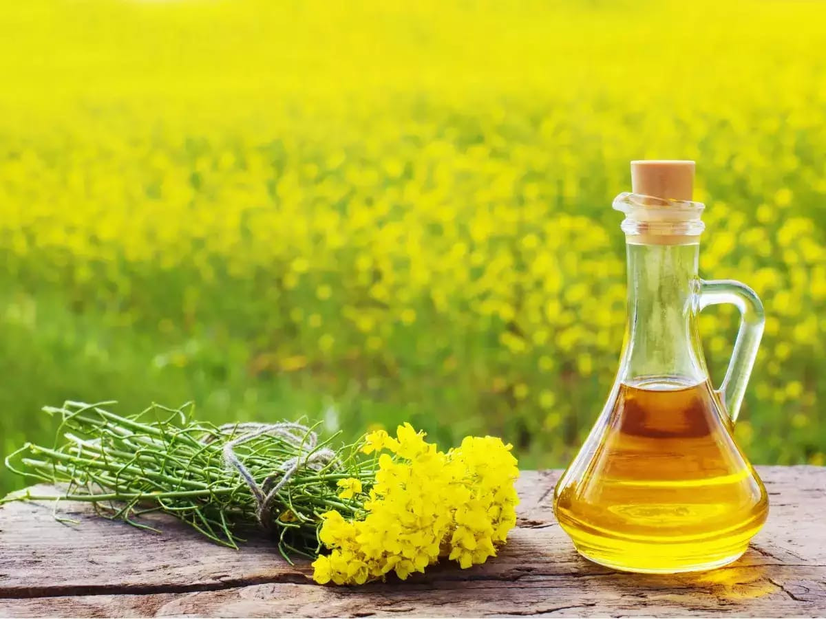 Mustard Oil image